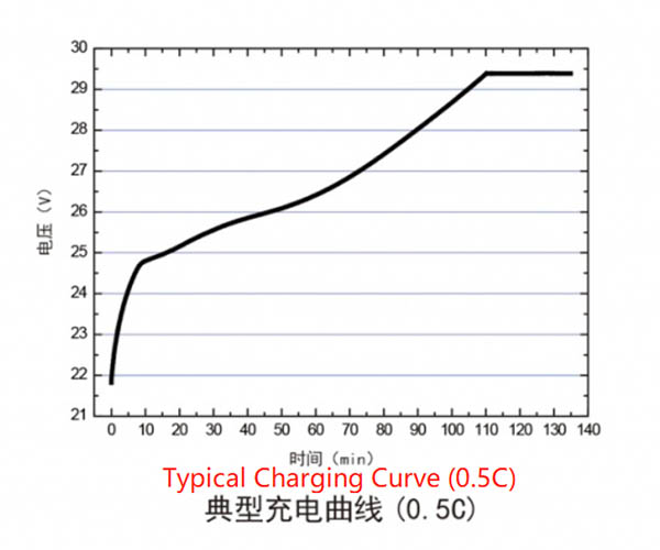 Lithium-ion battery pack for electric forklift3